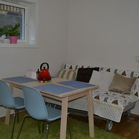 Totally Independent Apartment Near Ntnu,Lerkendal And Center トロンハイム エクステリア 写真
